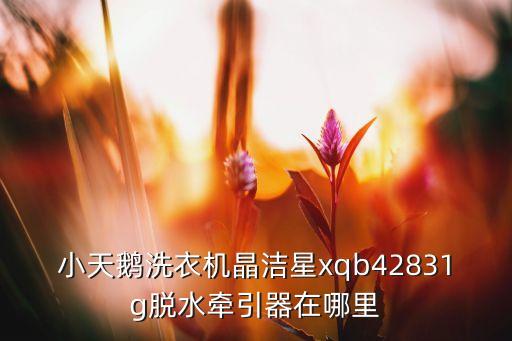 图解小天鹅牵引器齿轮怎么装，小天鹅洗衣机晶洁星xqb42831g脱水牵引器在哪里