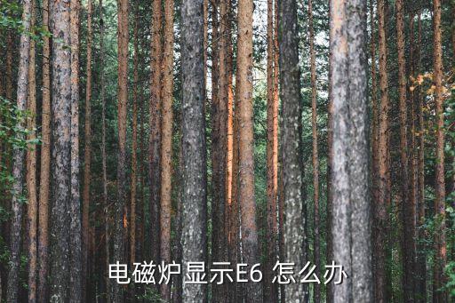 电池炉显示e6 怎么办，电磁炉显示E6 怎么办