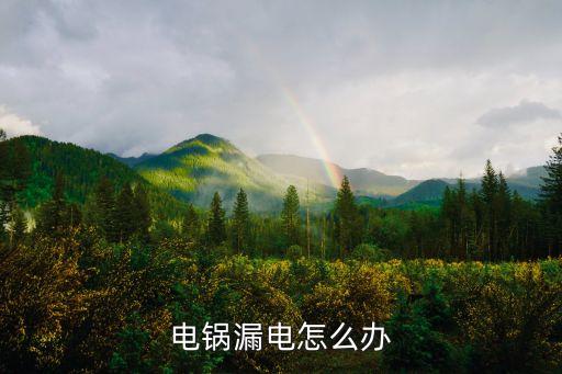 电锅开关漏电怎么处理，电炒锅漏电怎么解决