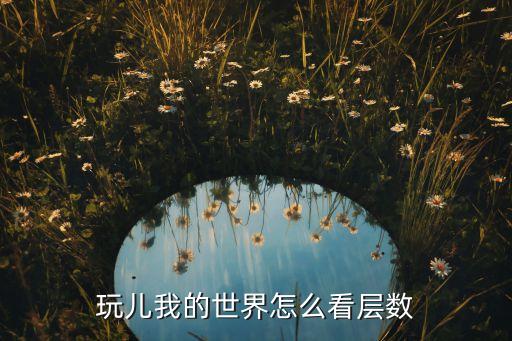 玩儿我的世界怎么看层数