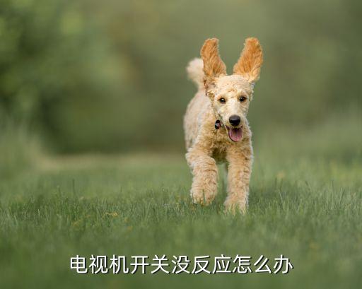 电视机开关没反应怎么办