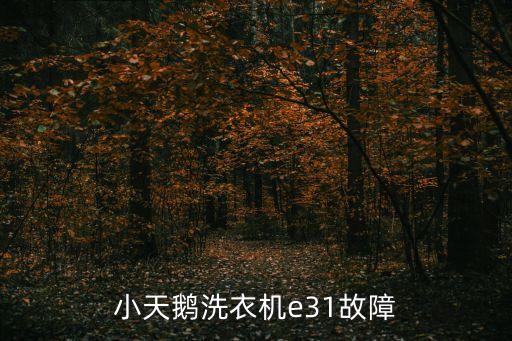 小天鹅洗衣机e31故障