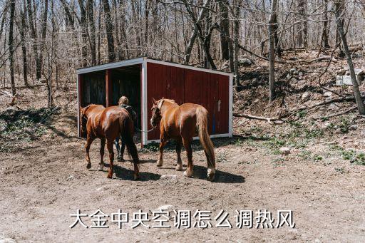 大金中央空调怎么调热风