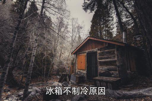 冰箱不制冷原因