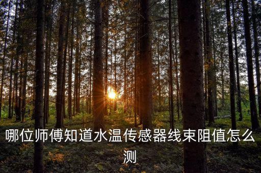 如何检测水温表线束，哪位师傅知道水温传感器线束阻值怎么测