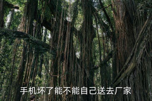 怎么进手机厂的维修部，谁进过手机厂做维修我没修过手机进去应聘困难吗我搞家电的  搜