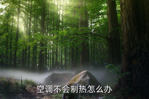 空调不会制热怎么办