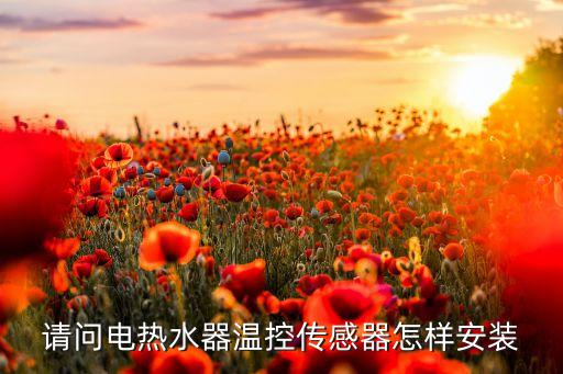 请问电热水器温控传感器怎样安装