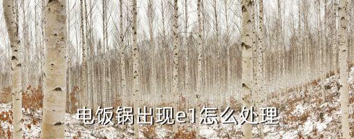 电饭锅出现e1怎么处理