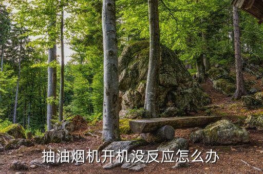 抽油烟机开机没反应怎么办