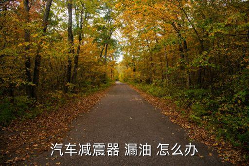 汽车减震漏油怎么修理，汽车减震器 漏油 怎么办