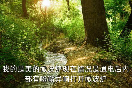 我的是美的微波炉现在情况是通电后内部有嗡嗡异响打开微波炉