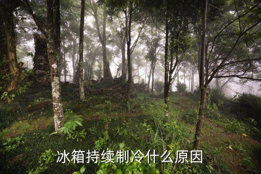冰箱一直制冷怎么回事，冰箱一直制冷是什么原因