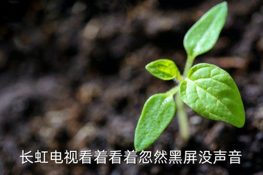 长虹电视黑屏了没声音怎么回事，长虹电视看着看着忽然黑屏没声音