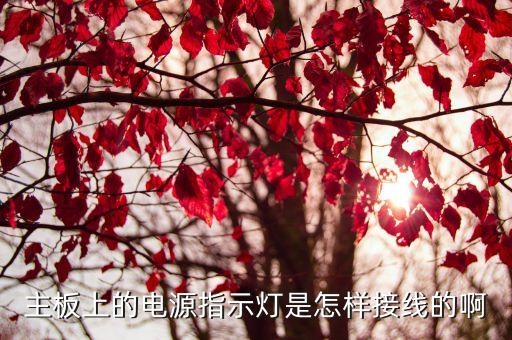 主板上的电源指示灯是怎样接线的啊