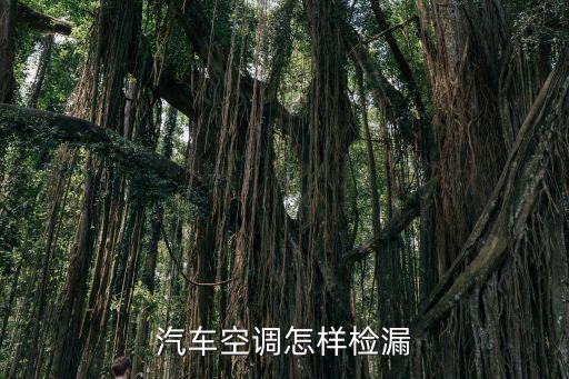 汽车空调怎样检漏