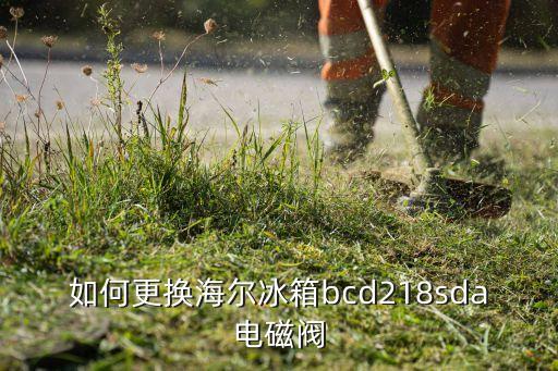海尔冰箱电磁阀坏了怎么换，求教大神冰箱电磁阀坏了怎么修
