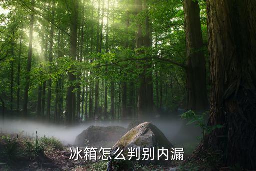 冰箱怎么判别内漏
