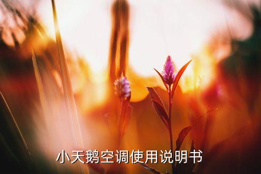 小天鹅空调使用说明书