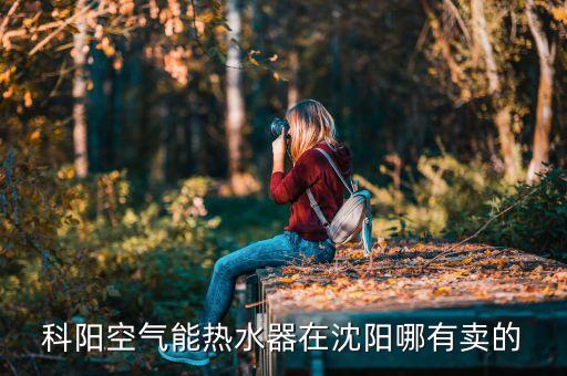 科阳空气能热水器在沈阳哪有卖的