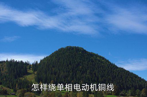 怎样绕单相电动机铜线