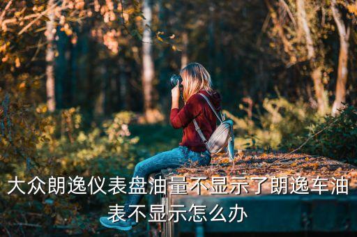大众朗逸仪表盘油量不显示了朗逸车油表不显示怎么办