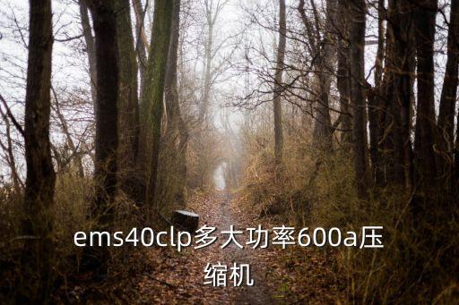 ems40clp压缩机怎么样，EMZ40CLP压缩机发热是不是坏了