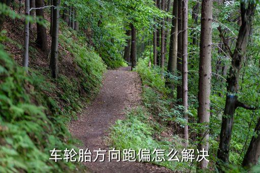 车跑偏怎么调胎压，汽车跑偏怎么调