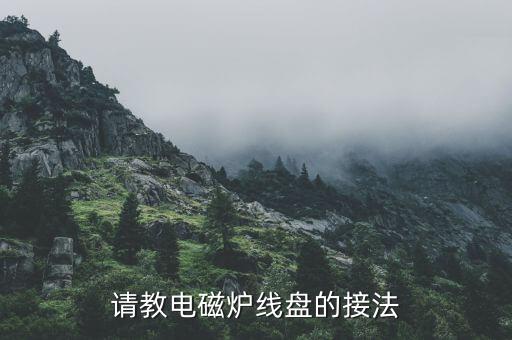 请教电磁炉线盘的接法