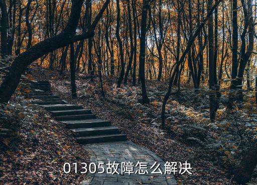 01305故障怎么解决，01305故障怎么解决