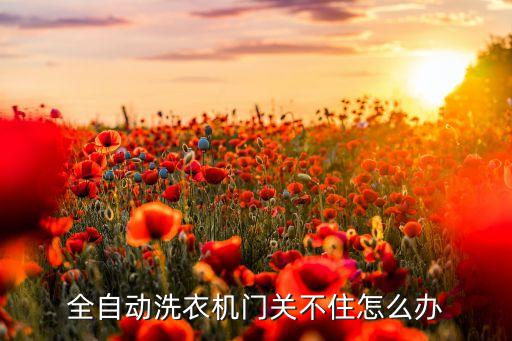全自动洗衣机门关不住怎么办