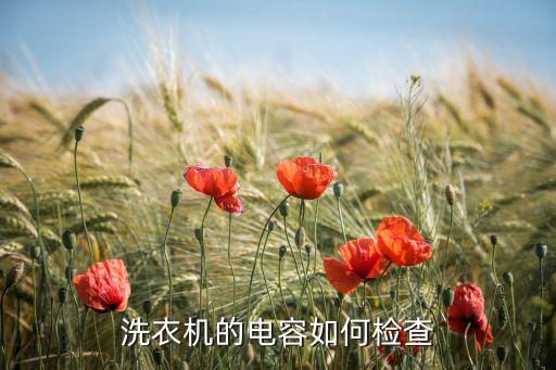 洗衣机的电容如何检查