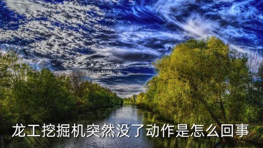 龙工挖掘机突然没了动作是怎么回事