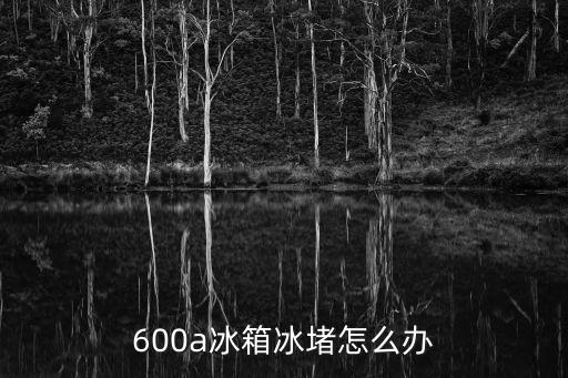 600a冰箱冰堵怎么办