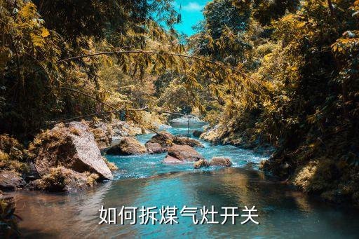 如何拆灶具的总成开关，抽油烟机开关按钮如何拆卸