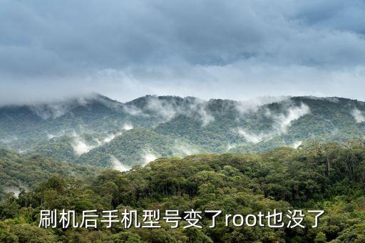 刷机后手机型号变了root也没了