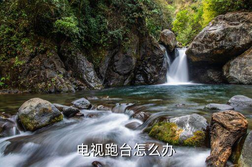电视跑台怎么调整，天成TCD509ABS 电视节目的声音跑台了 请问怎么改回来