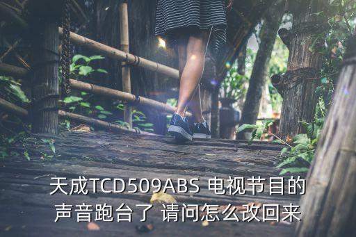 天成TCD509ABS 电视节目的声音跑台了 请问怎么改回来