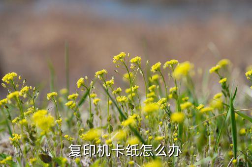 复印机纸卡住了怎么办，复印机卡纸怎么办