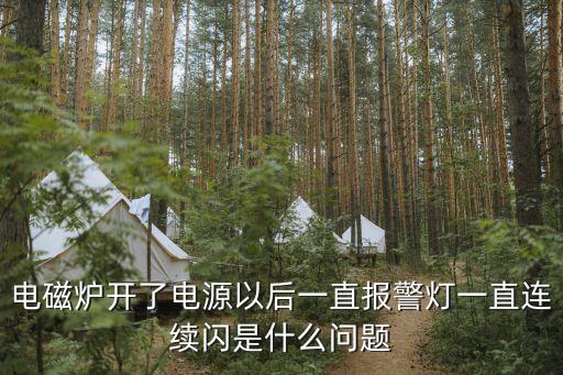 电磁炉开了电源以后一直报警灯一直连续闪是什么问题