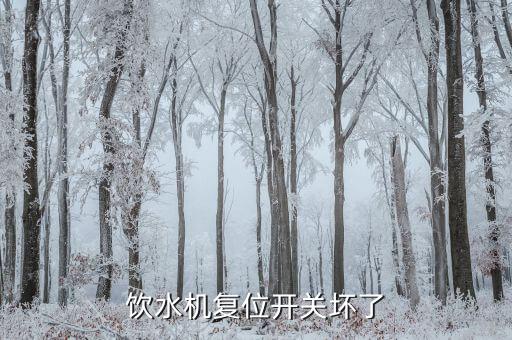 饮水机复位开关坏了