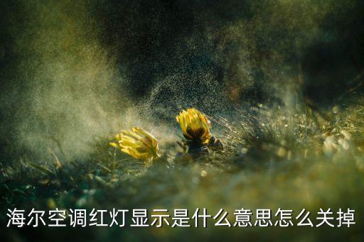海尔空调红灯显示是什么意思怎么关掉