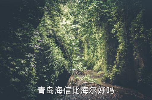 海信冰箱在青岛怎么样，青岛海信比海尔好吗