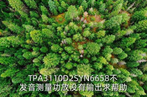 TPA3110D2SYN6658不发音测量功放没有输出求帮助