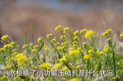 压缩机换小了会怎么样，我的空调压缩机换小了05P有什么影响