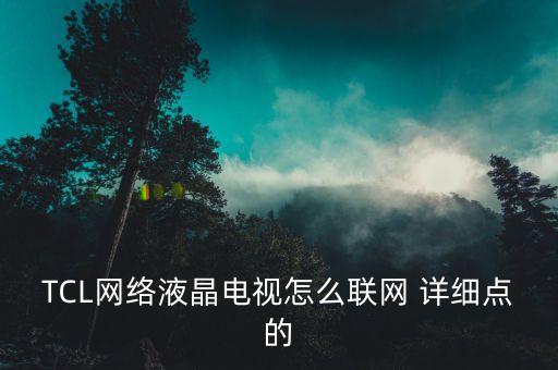 TCL网络液晶电视怎么联网 详细点的