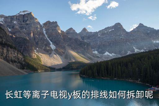 长虹等离子电视y板的排线如何拆卸呢