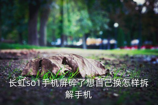 长虹so1手机屏碎了想自己换怎样拆解手机