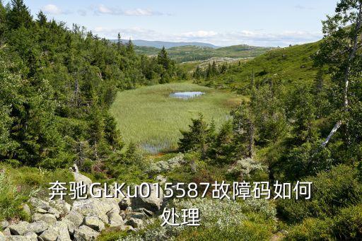 奔驰GLKu015587故障码如何处理