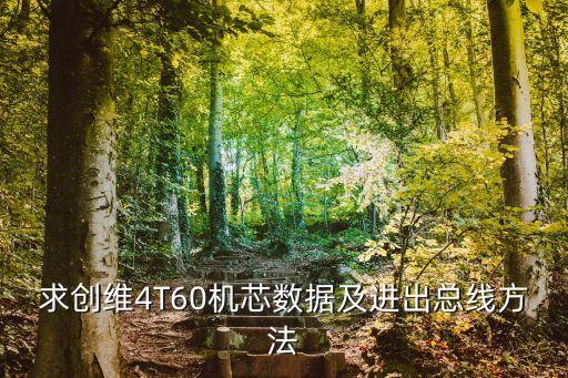 创维4t60如何进入总线，创维电视机34t60怎样进入总线
